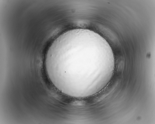 X0000102410595200808152007