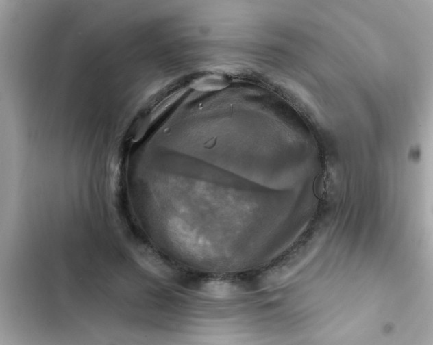 X0000102410596200808152007