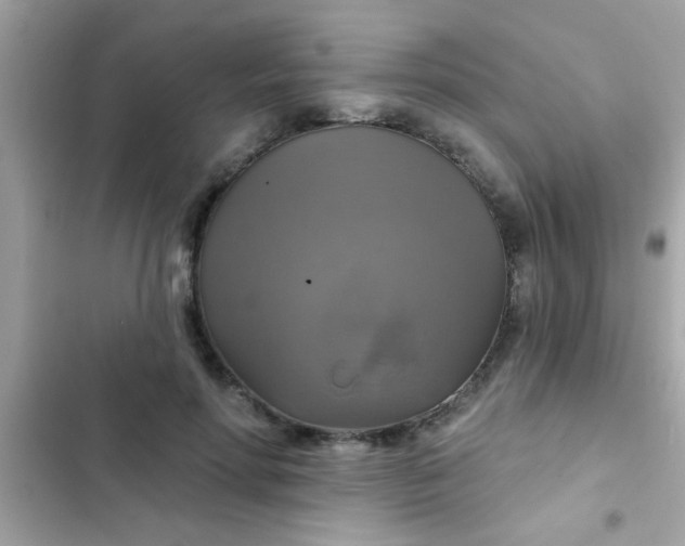 X0000102410598200808152007