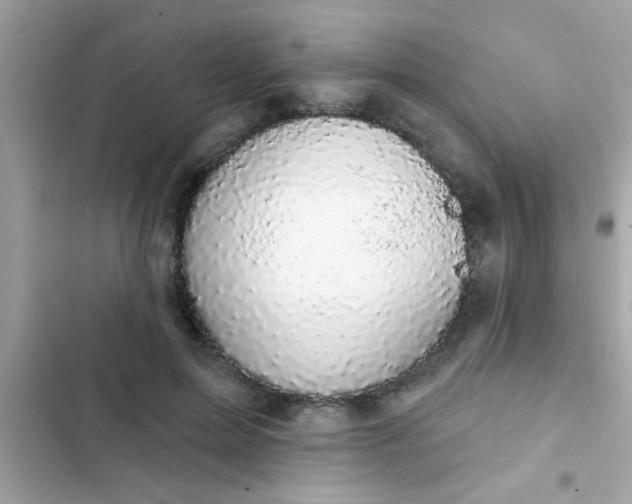 X0000102410599200808152007