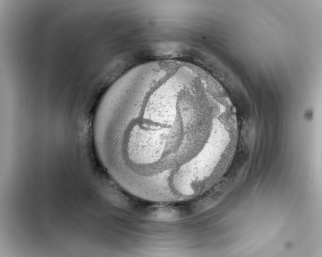 X0000102410601200808152007