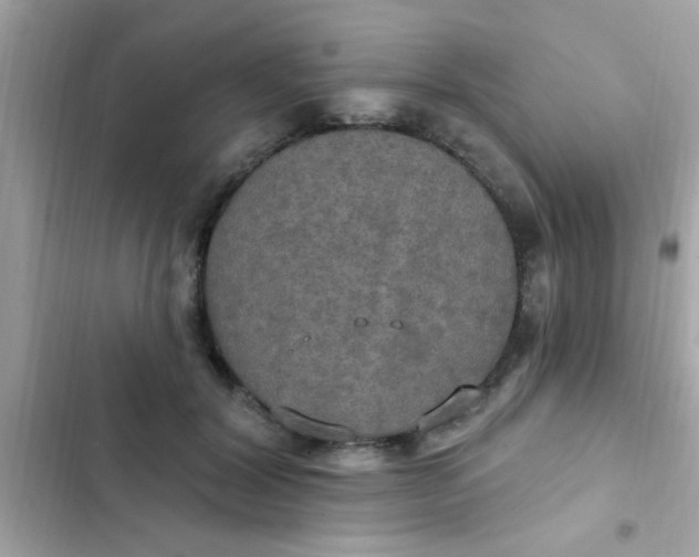 X0000102410604200808152007