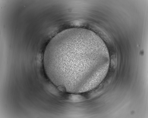 X0000102410605200808152007