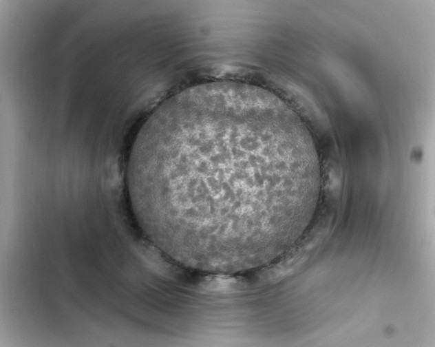 X0000102410607200808152007