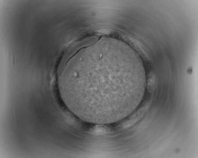 X0000102410608200808152007