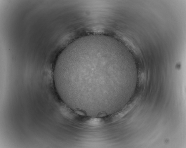 X0000102410609200808152007