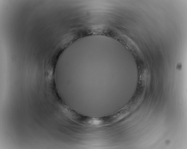 X0000102410610200808152007