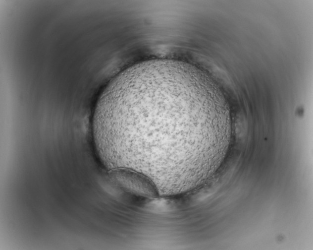 X0000102410611200808152007