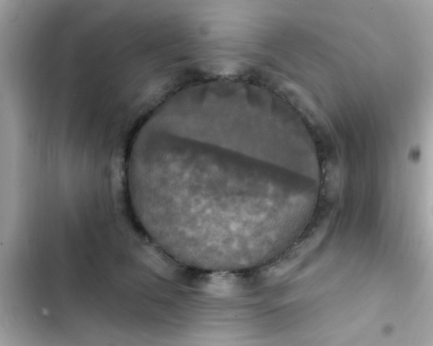 X0000102410612200808152007