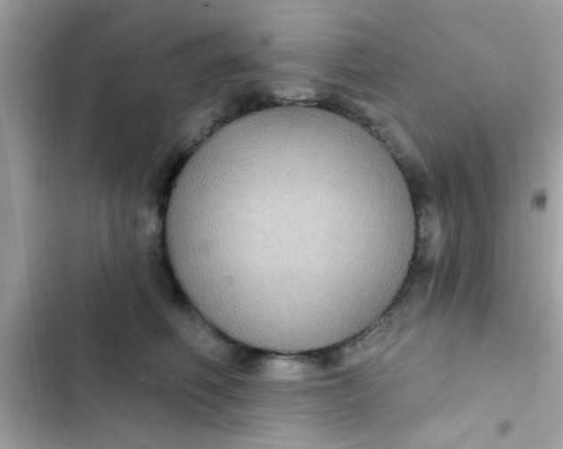 X0000102410614200808152007