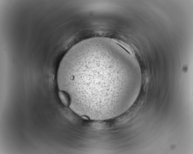 X0000102410615200808152007