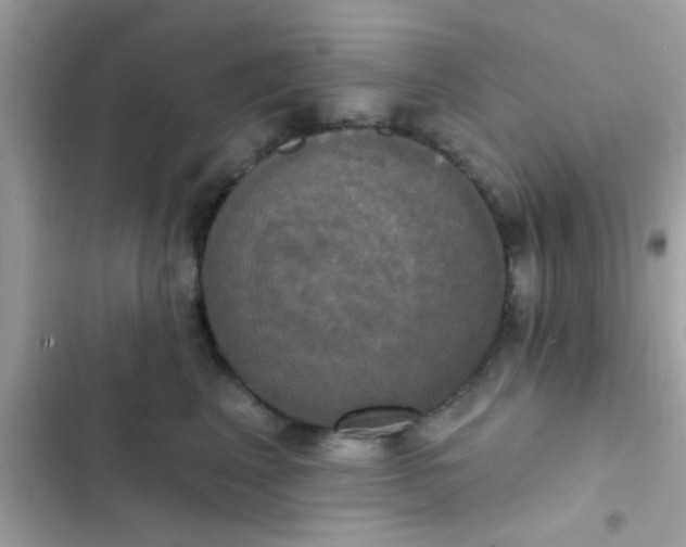 X0000102410617200808152007