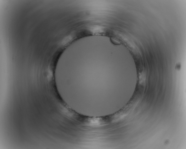 X0000102410618200808152007