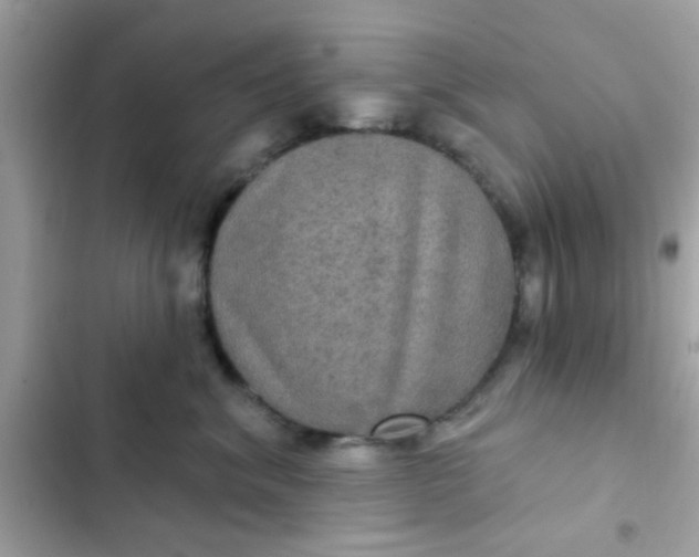 X0000102410620200808152006