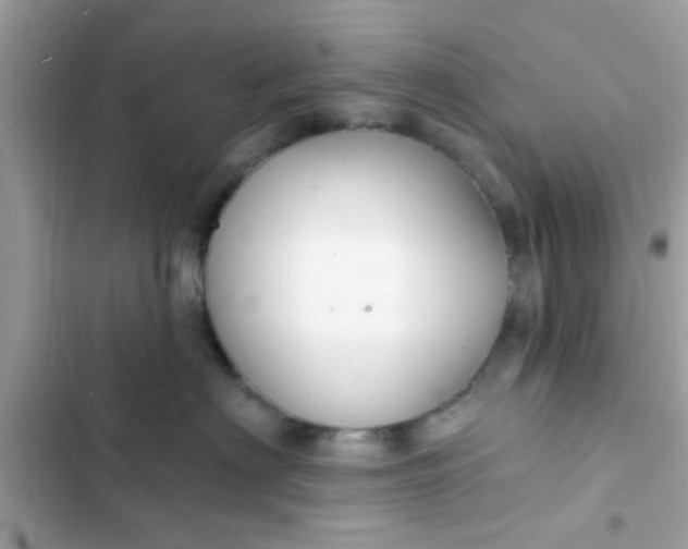 X0000102410622200808152006