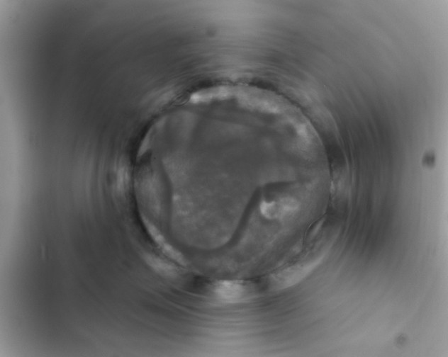 X0000102410623200808152006