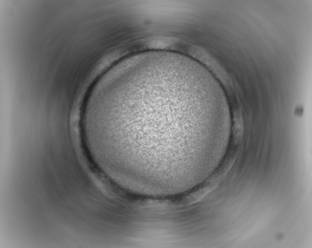 X0000102410626200808152006