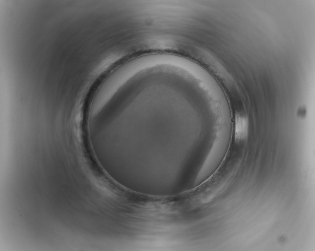 X0000102410627200808152006