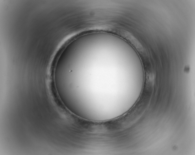 X0000102410628200808152006