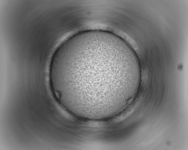 X0000102410629200808152006