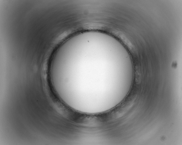 X0000102410631200808152006