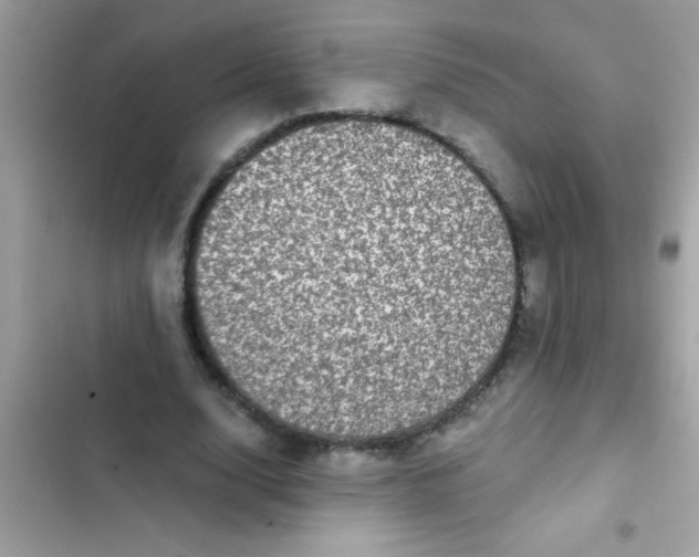 X0000102410632200808152006