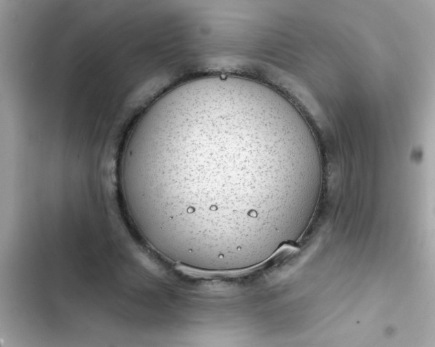 X0000102410633200808152006