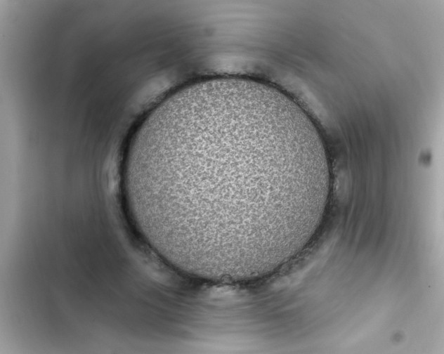 X0000102410635200808152006