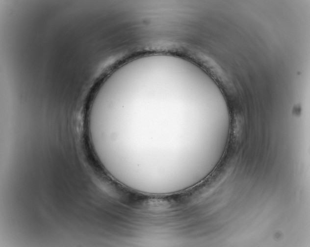 X0000102410636200808152006