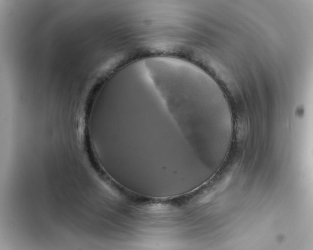 X0000102410637200808152006