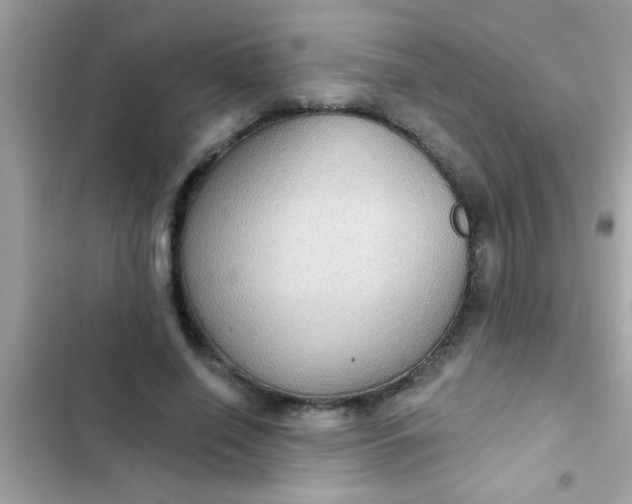 X0000102410638200808152006