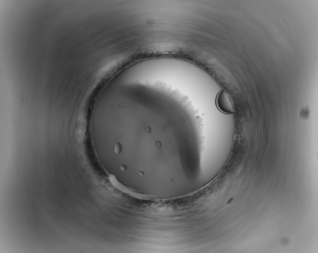 X0000102410640200808152006