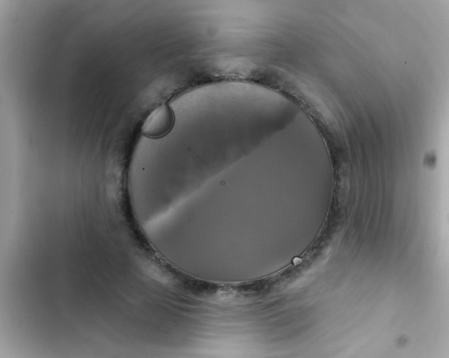 X0000102410641200808152006