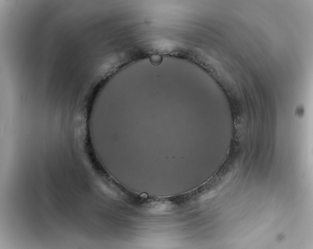 X0000102410642200808152006