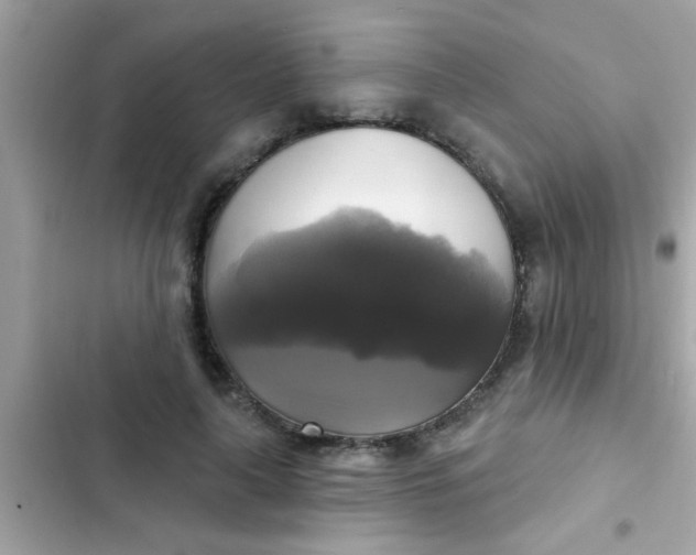 X0000102410643200808152006