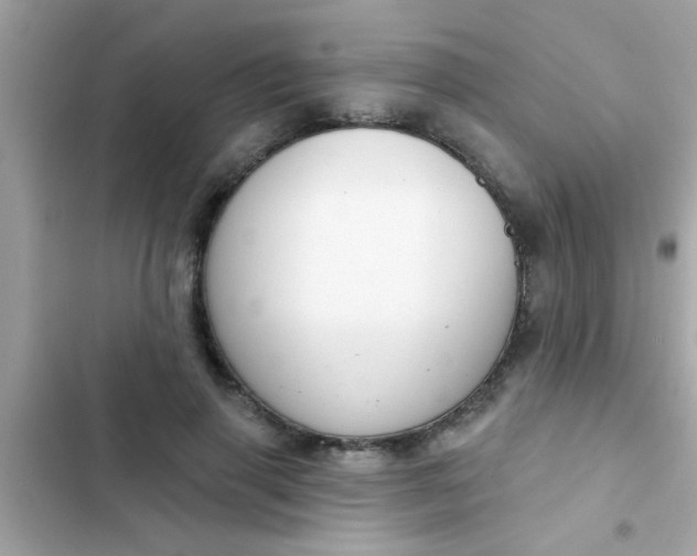 X0000102410645200808152006