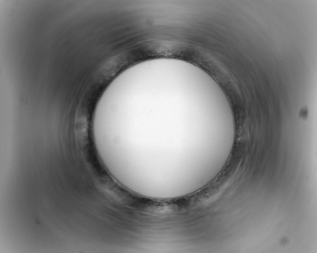 X0000102410646200808152006