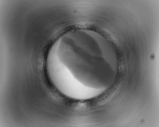 X0000102410647200808152006