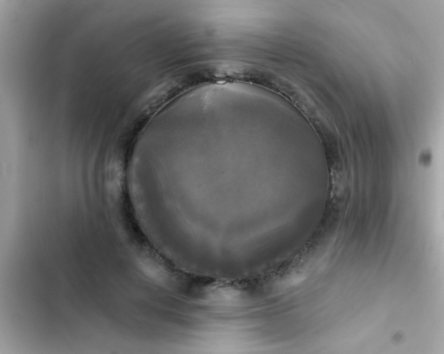 X0000102410648200808152006