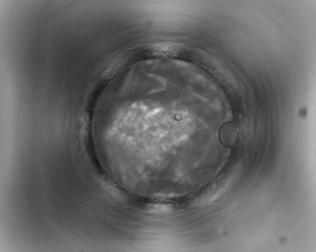 X0000102410649200808152006