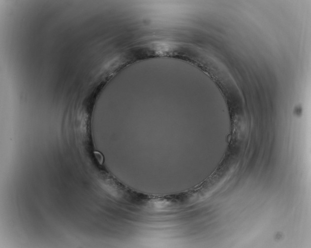 X0000102410650200808152006