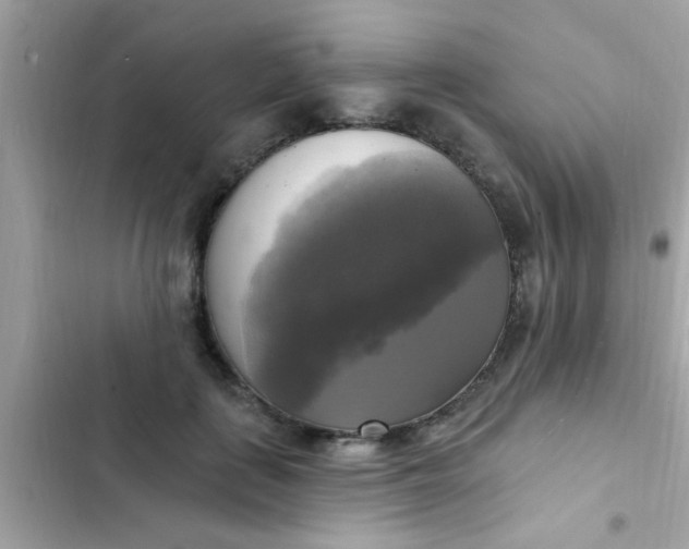 X0000102410651200808152006