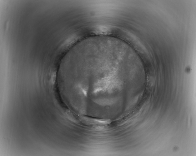 X0000102410652200808152006