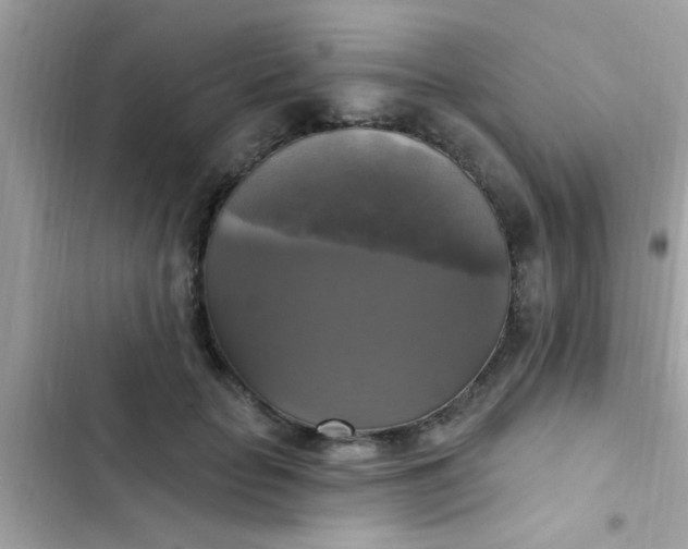 X0000102410653200808152006