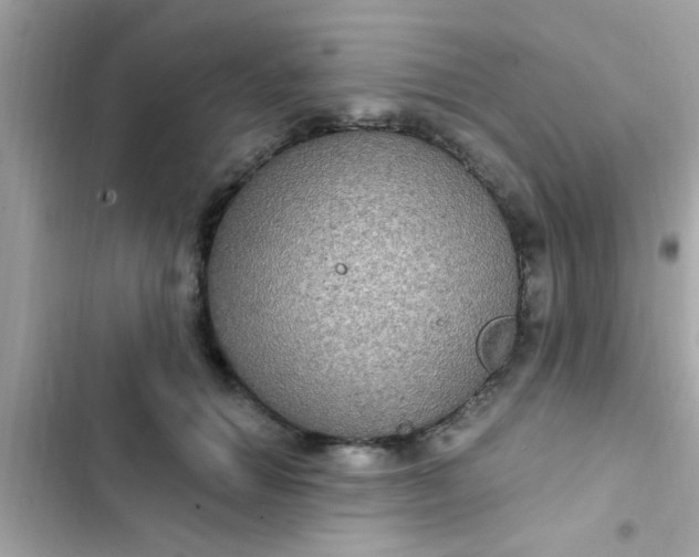 X0000102410654200808152006