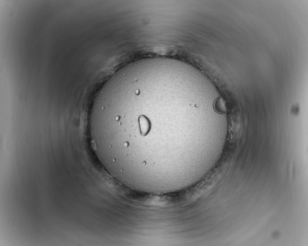 X0000102410656200808152006