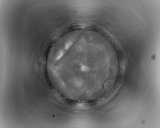 X0000102410657200808152006