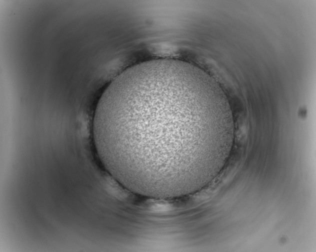 X0000102410658200808152006