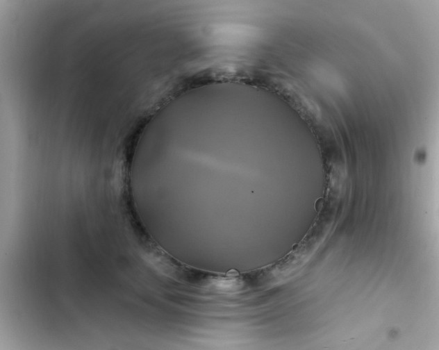 X0000102410659200808152006