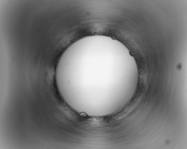 X0000102410660200808152006